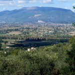 2-6-Montefalco