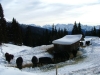 alta-val-pusteria-foto-tidpress-4