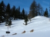 alta-val-pusteria-foto-tidpress-5