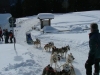 alta-val-pusteria-foto-tidpress-7